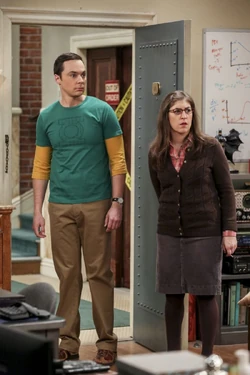 Sheldon and Amy.