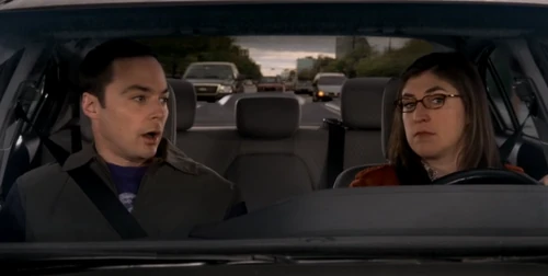 Sheldon wakes up in the car on the way to home.