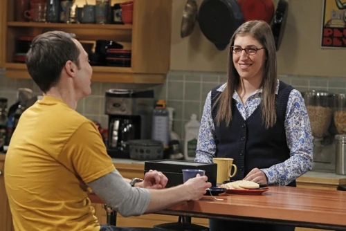 Sheldon discussing investing in Stuart's comic book store with Amy.