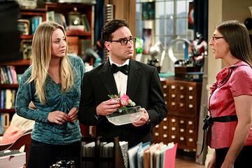 The big bang theory season 5 full episodes hotsell