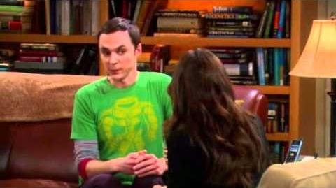 The Big Bang Theory - Sheldon und das FBI