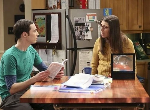 Not happy with Sheldon's humor investigation.