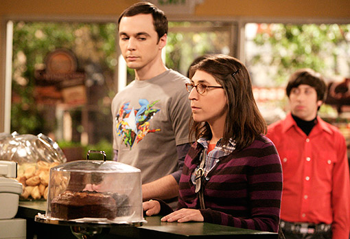 The Big Bang Theory, The Big Bang Theory Wiki