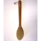 Bathbrush