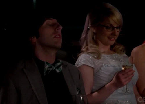 Howard and Bernadette in the limo.