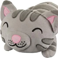 Katzentanzlied Big Bang Theory Wiki Fandom Das ist das zimmer von maria. katzentanzlied big bang theory wiki