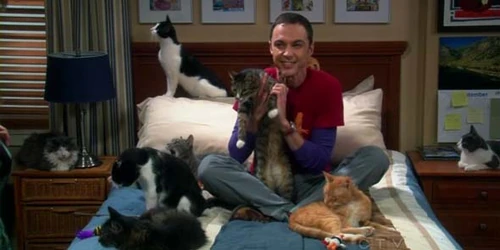 Sheldon and Zazzles.