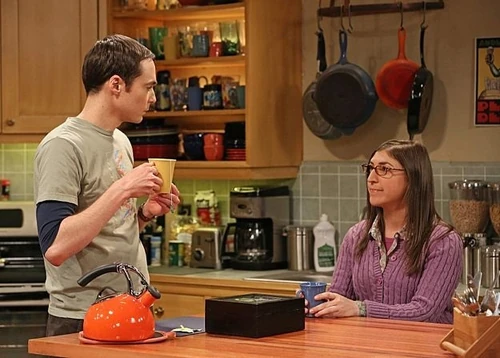 Amy helping Sheldon in his career.