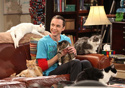 Sheldon holding Zazzles.