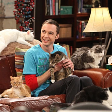 The Zazzy Substitution The Big Bang Theory Wiki Fandom Our mommy says her job teaching elementary music is just like herding kittens. the big bang theory wiki