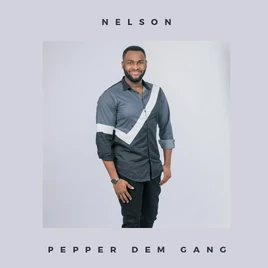 BBNaija4 Large Nelson