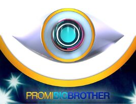 PromiBigBrother4