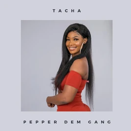 BBNaija4 Large Tacha