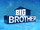 Big Brother 16 (US)