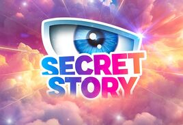 SSFrance12 Logo