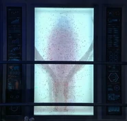 AINSLEY being deleted by Makensy Manbeck