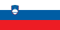Slovenia Flag.png