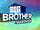 Big Brother 17 (US)