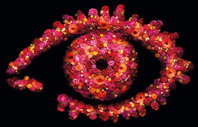 Ultimate big brother watch online sale