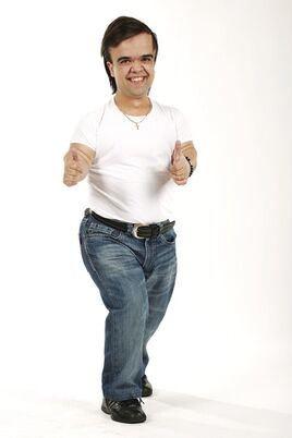 MilanVB4