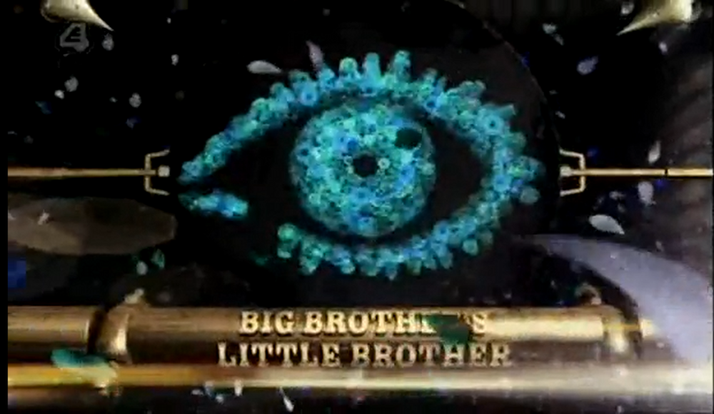 Big Brother's Little Brother | Big Brother Wiki | Fandom