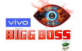 Bigg Boss 13 Logo