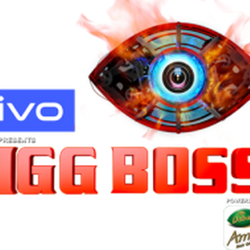 Bigg Boss 13 Hindi Big Brother Wiki Fandom Production designer omung kumar introduces 'bb meanwhile, as the countdown starts for the premiere episode, here's everything you need to know about this season. bigg boss 13 hindi big brother wiki