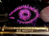 Big Brother's Big Mouth