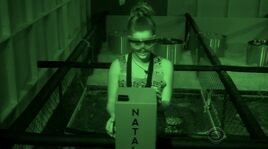 TheBlackBox