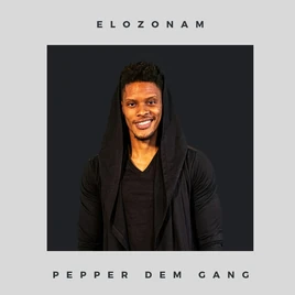 BBNaija4 Large Elozonam