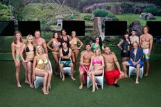 BB14 teams