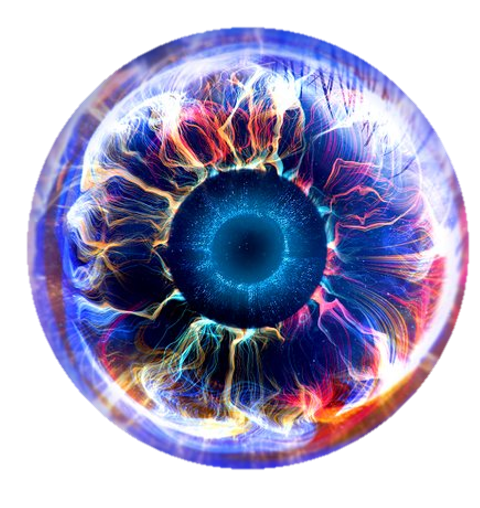 Big Brother, Wiki
