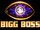 Bigg Boss 14 (Hindi)