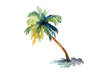 S62iqu.png4.png