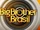 Big Brother Brazil 25