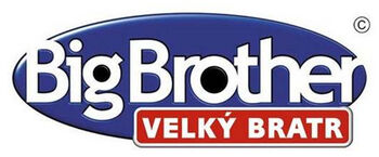 Velký Bratr Logo