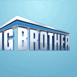 Big Brother 24 (US), Big Brother Wiki