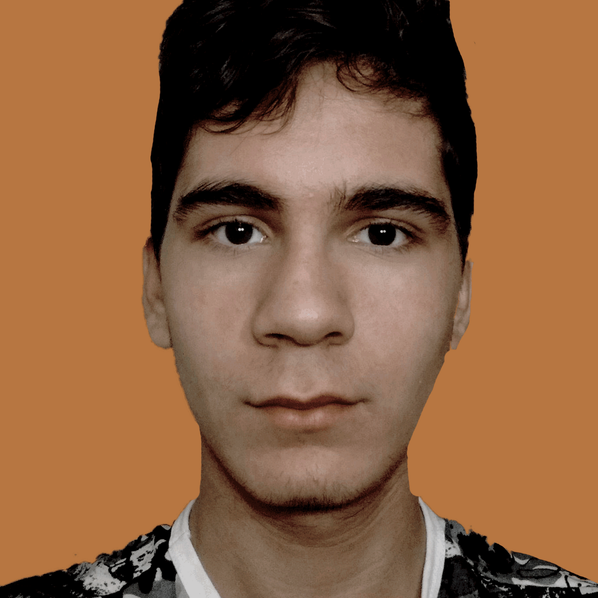 Fabricio | Big Brother Pokemon Wikia | Fandom