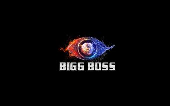 Bigg Boss Punjabi 2 | Big Brother UK 