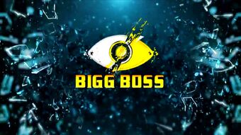 bigg boss season 11 full episode 1
