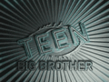 :Teen Big Brother UK