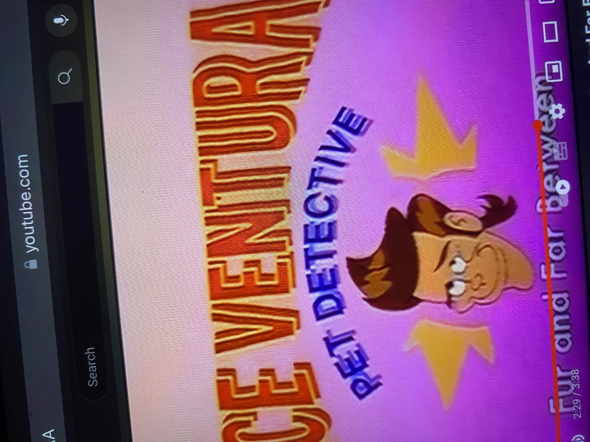 Ace Ventura Pet Detective Big Cat Wiki Fandom