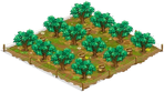 1 Orchard Basic oliveorchard3 Orchard.png