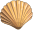 Muscheln-icon-0.png