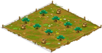 1 Orchard Basic oliveorchard0 Orchard.png