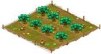 1 Orchard Basic oliveorchard2 Orchard.png