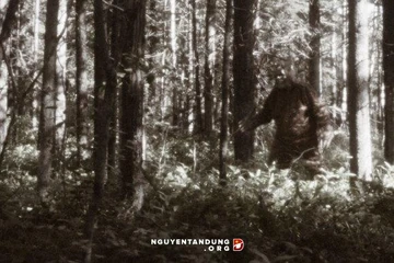 Forest people (Vietnam) | Bigfoot Wiki | Fandom