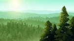 The Woods.jpg (191 KB)