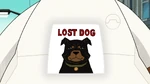 Lost Dog.jpg (205 KB)