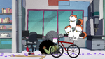 Bike cats